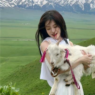我的朋友们 海报
